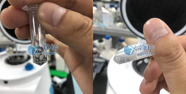 1655803783205681.jpg 25.jpg